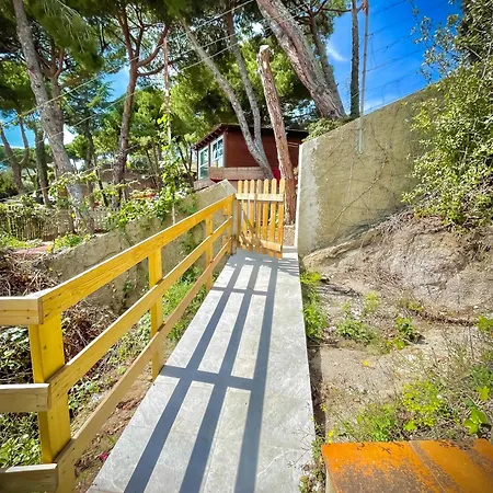Maresme & Rosa Lodge *