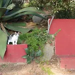 Maresme & Rosa