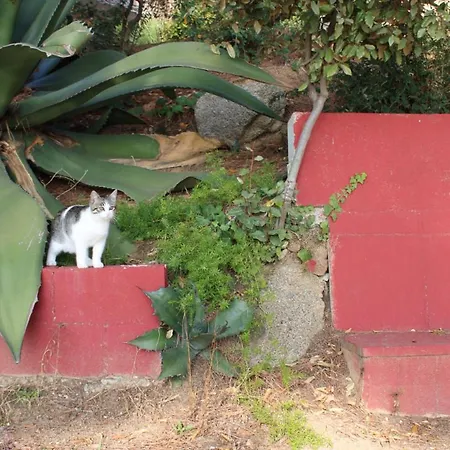 Maresme&villa Rosa
